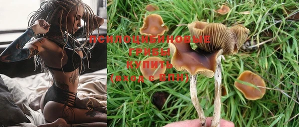 кокс Алзамай