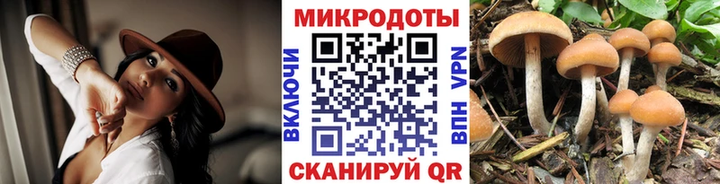 Галлюциногенные грибы Magic Shrooms  где купить наркотик  Жирновск 